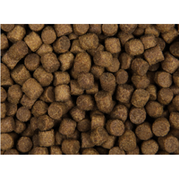 Zoolicious Zoolicious Puppy Pro Brokken 5kg - 28/18 - Volledig Diervoeder voor Pups, Ondersteunt Gezonde Groei, Huid en Vacht