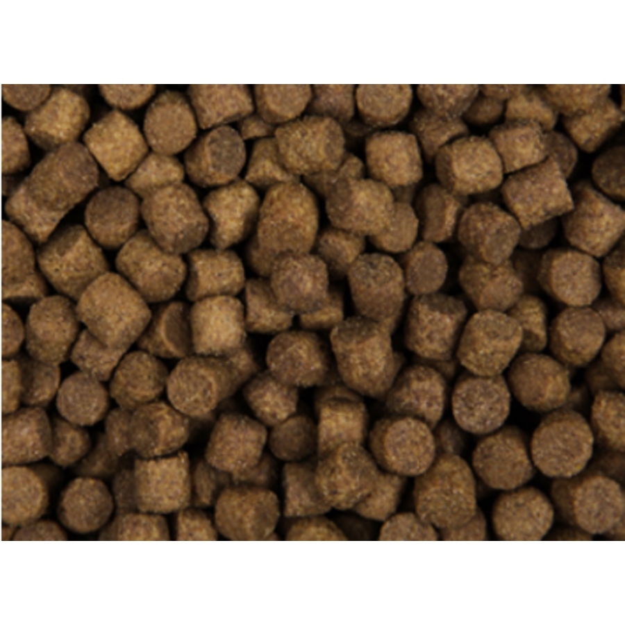 Zoolicious Puppy Pro Croquettes 5kg-2