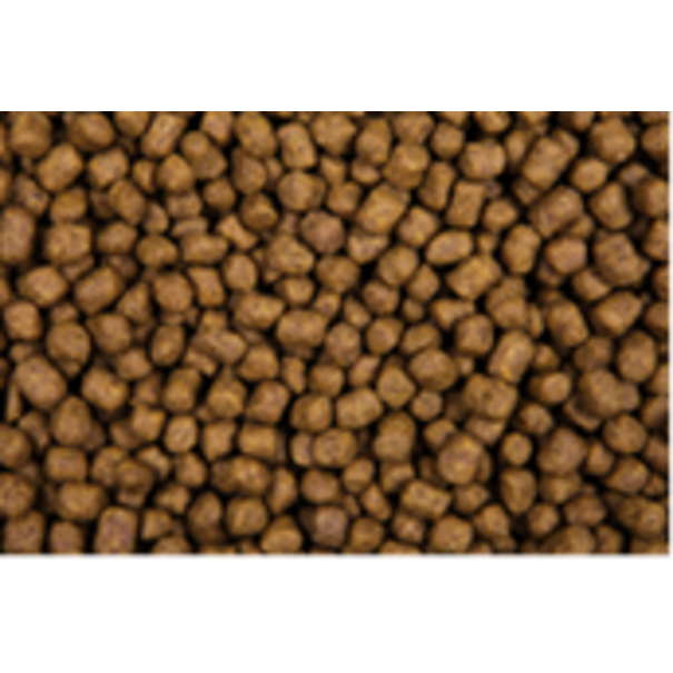 Zoolicious Zoolicious Kitten 5 kg - 35/24 - Alimentación 100% Premium y Equilibrada para Gatitos Jóvenes