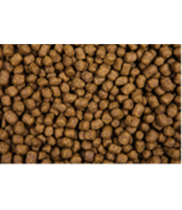 Zoolicious Zoolicious Kitten 5 kg – 35/24 – Volledige, Hoogwaardige Voeding voor Kittens, Drachtige en Zogende Katten – Licht Verteerbaar, Ondersteunt Gezonde Groei en Ontwikkeling