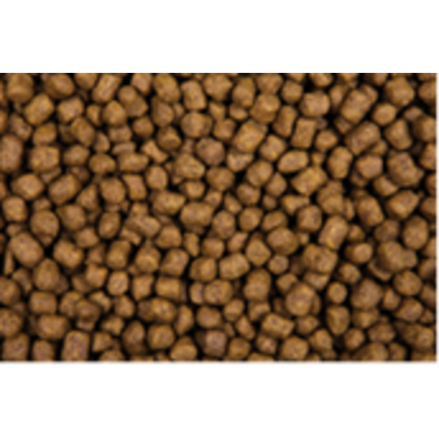 Zoolicious Kitten 5 kg - 35/24 - 100% Premium and Balanced Nutrition for Young Kittens-2