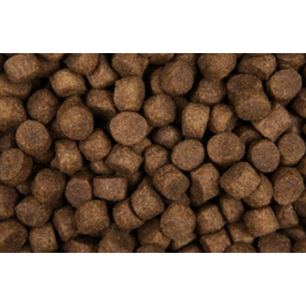 Zoolicious Zoolicious Cordero & Arroz 15 kg - 23/11 - Comida Hipoalergénica para Perros Adultos de Todas las Razas - Apoya una Piel y un Pelaje Saludables