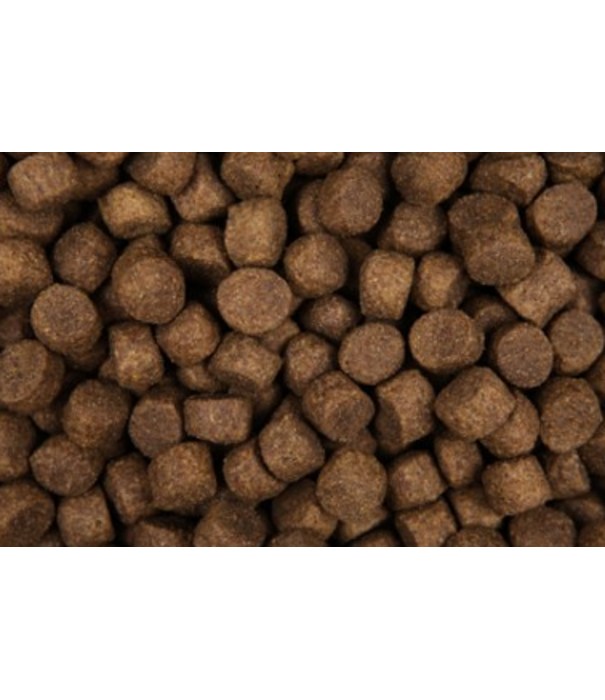Zoolicious Zoolicious Cordero & Arroz 15 kg - 23/11 - Comida Hipoalergénica para Perros Adultos de Todas las Razas - Apoya una Piel y un Pelaje Saludables