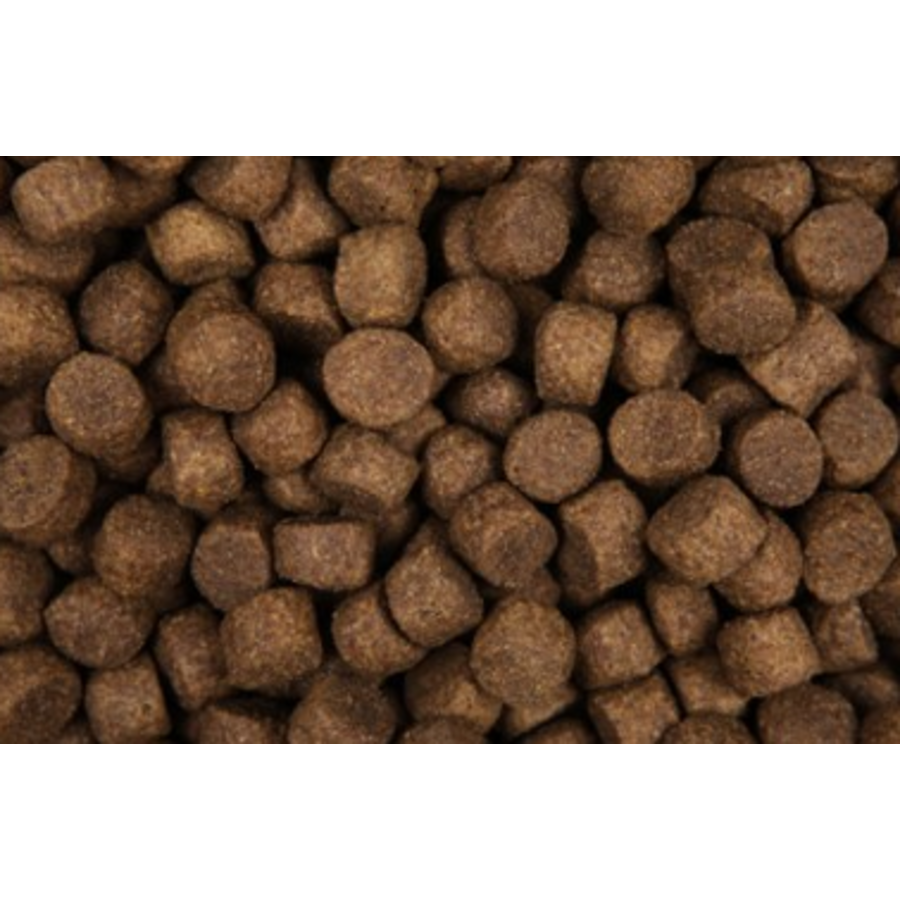 Zoolicious Agneau & Riz 15 kg - 23/11 - Nourriture Hypoallergénique pour Chiens Adultes de Toutes Races - Soutient une Peau et un Pelage Sains-2