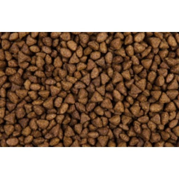Zoolicious Zoolicious Felis Adult Sensitive 5kg
