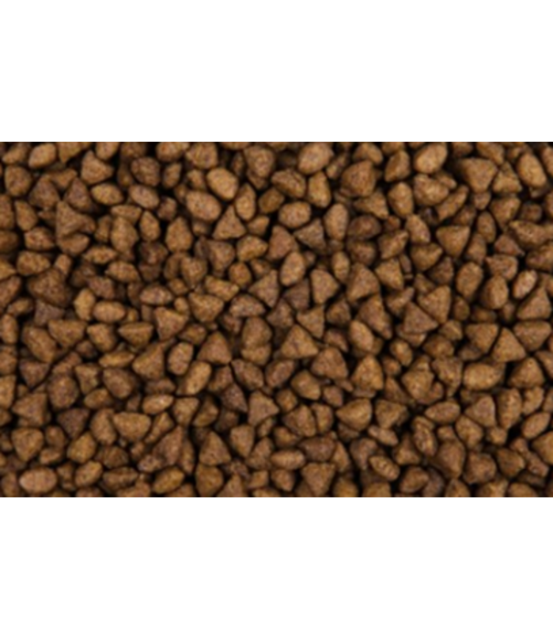Zoolicious Zoolicious Felis Adult Sensitive 5kg - 33/19 - volledig diervoeder voor gevoelige volwassen katten