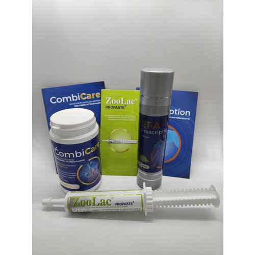 Forfait avantage chien Senior 