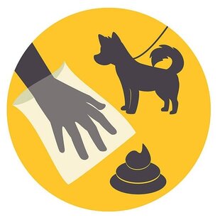 Hundekot aufheben oder nicht?