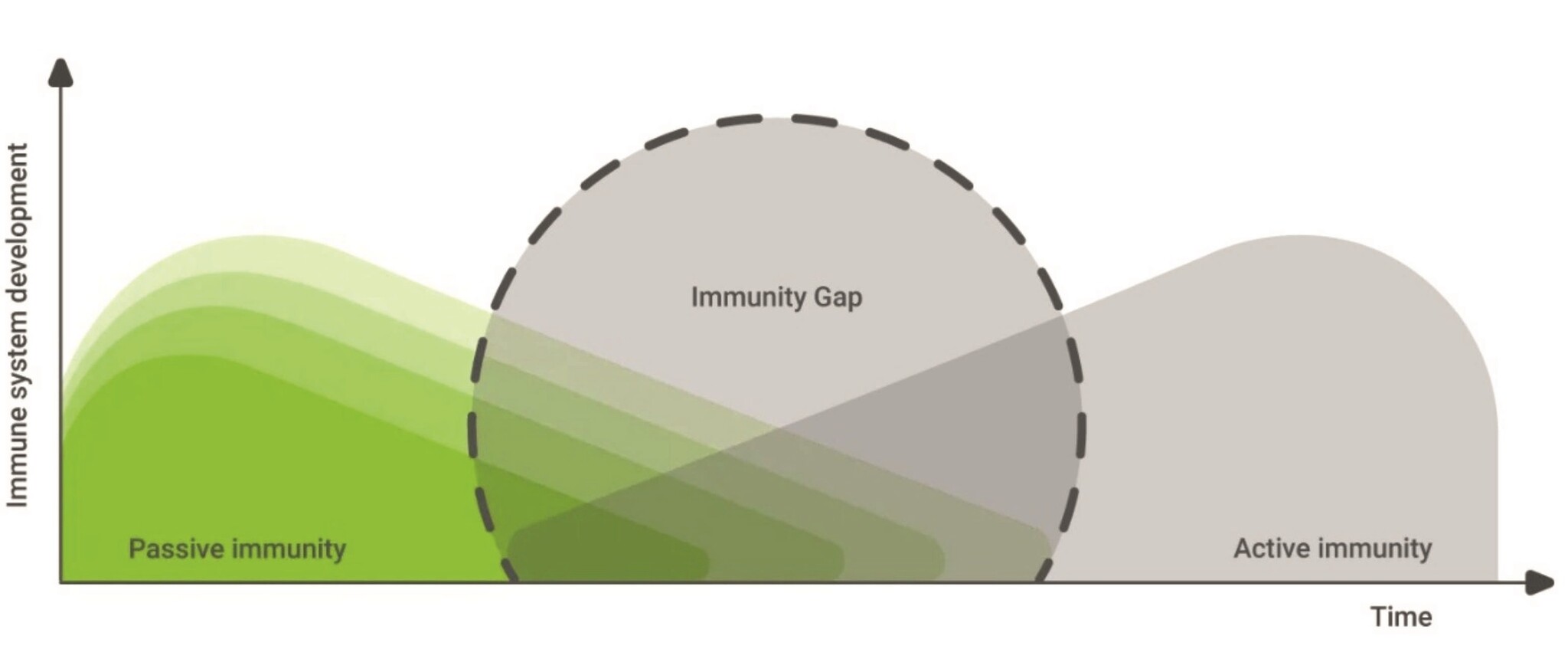 The immune gap