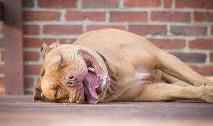 Ondersteuning warm weer