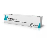 Dentisept Adhesive Toothpaste 20 grams
