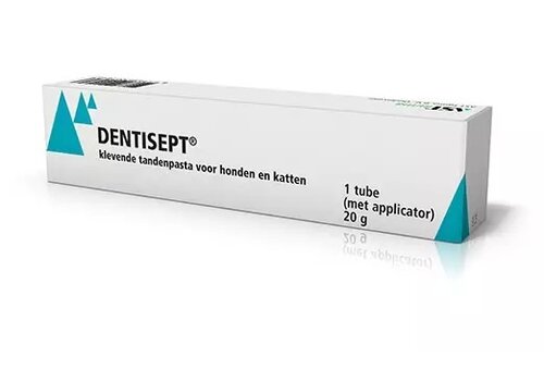 Dentisept Haftende Zahncreme 20 Gramm 