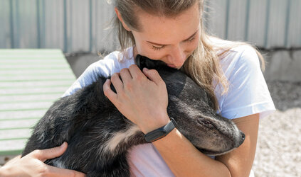 Vragen over Euthanasie van uw geliefde huisdier