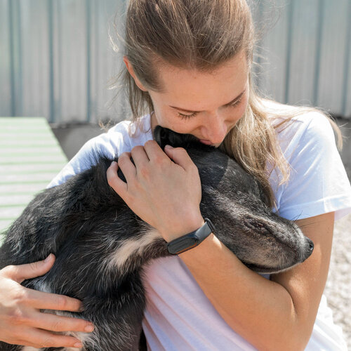 Questions sur l'Euthanasie de votre animal de compagnie bien-aimé