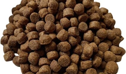 Krokante vs. Geperst