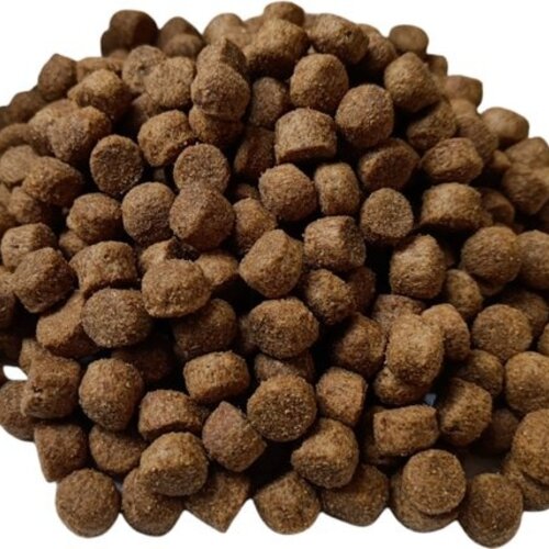 Croquettes Croustillantes vs. Croquettes Pressées : Quel est le Meilleur Choix pour Votre Chien ?