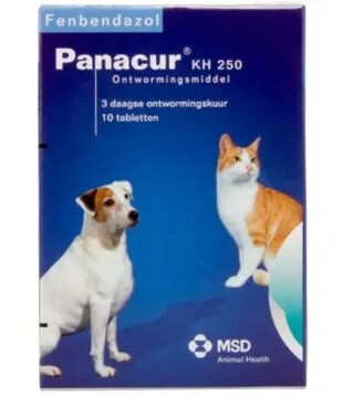 Panacur KH 250mg deworming tablets against worms for dogs and cats