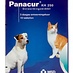 Panacur KH 250 mg comprimidos antiparasitarios contra gusanos para perros y gatos.