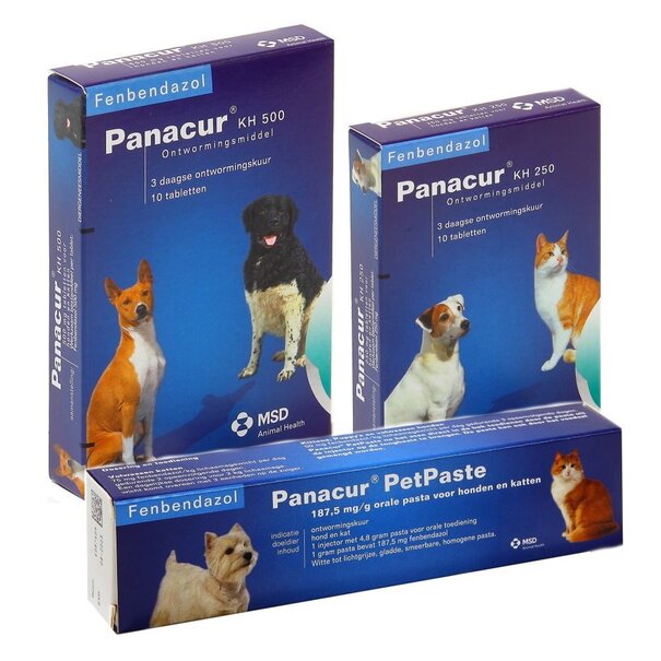 Panacur Panacur KH 250mg Entwurmungstabletten gegen Würmer für Hunde und Katzen
