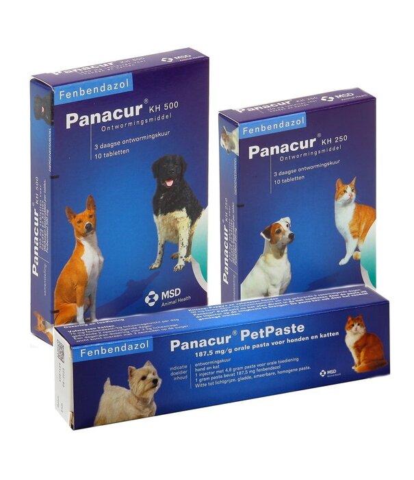 Panacur Panacur KH 500 mg Deworming Tablets for Medium and Large Dogs