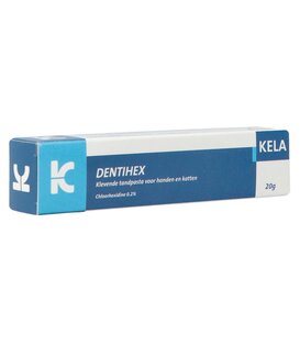 Dentihex Haftende Zahncreme 20 Gramm