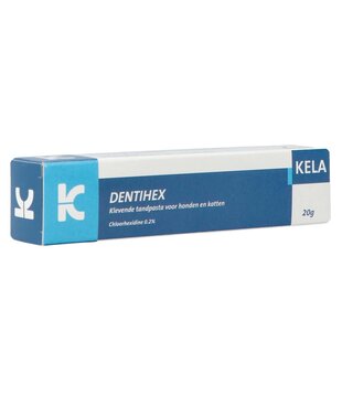 Dentihex Pasta Dental Adhesiva 20 gramos