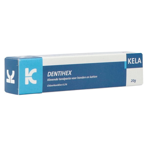 Dentihex Dentihex Haftende Zahncreme 20 Gramm