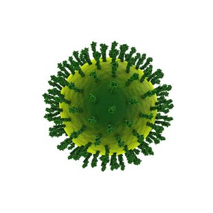 Wie stärkt man das Immunsystem seines Haustieres?