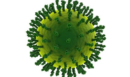 Immuunsysteem versterken 