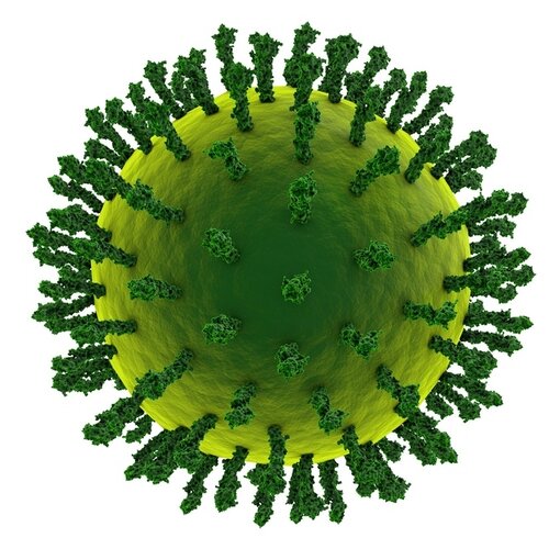 Wie stärkt man das Immunsystem seines Haustieres?