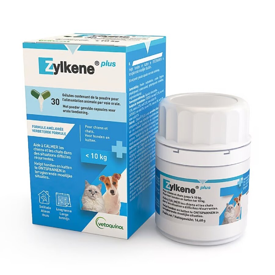 Zylkene Plus 75 mg – Natuurlijke Stressverlichting voor Kleine Honden en katten (tot 10 kg) – Ondersteunt Kalme Gedragingen in Stressvolle Situaties – 30 Capsules-1