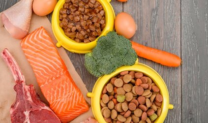 Spijsvertering problemen 