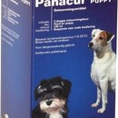 Panacur Puppy | 100 ml zur Behandlung von Magen-Darm-Rundwürmern bei Hunden und Welpen.