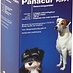 Panacur Puppy | 100 ml for the treatment of gastrointestinal roundworms in dogs and puppies.