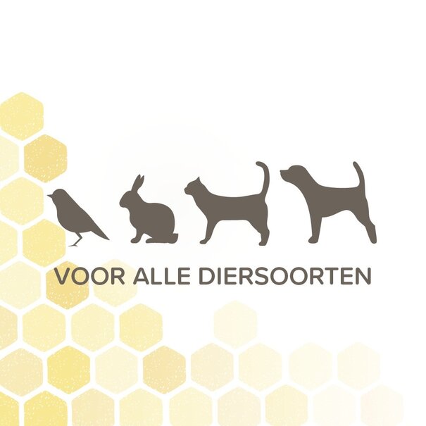 Beaphar Beaphar Derma+ Wound Spray 75 ml – for all animal species