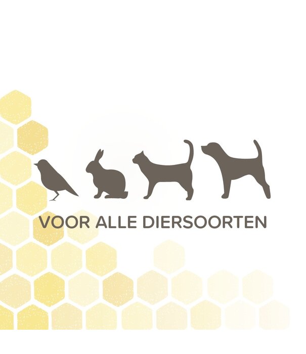 Beaphar Beaphar Derma+ Spray Cutané 75 ml – pour toutes les espèces animales