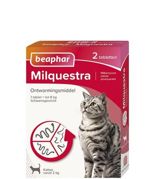 Milquestra Große Katzen - 2 st