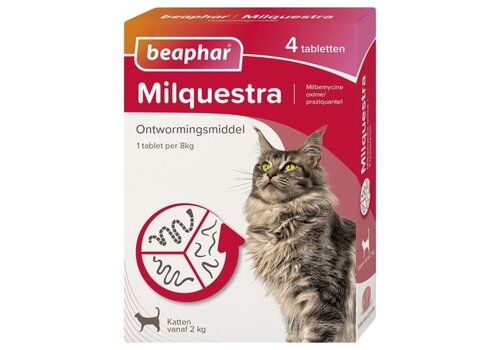 Milquestra Große Katzen - 4 st 