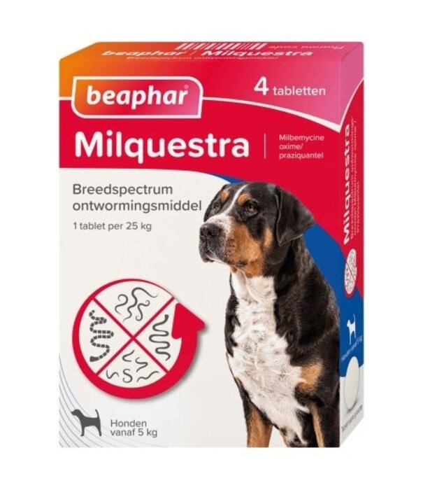 Milquestra Milquestra vermifuge comprimés chien 5+ Kg 4 comprimés
