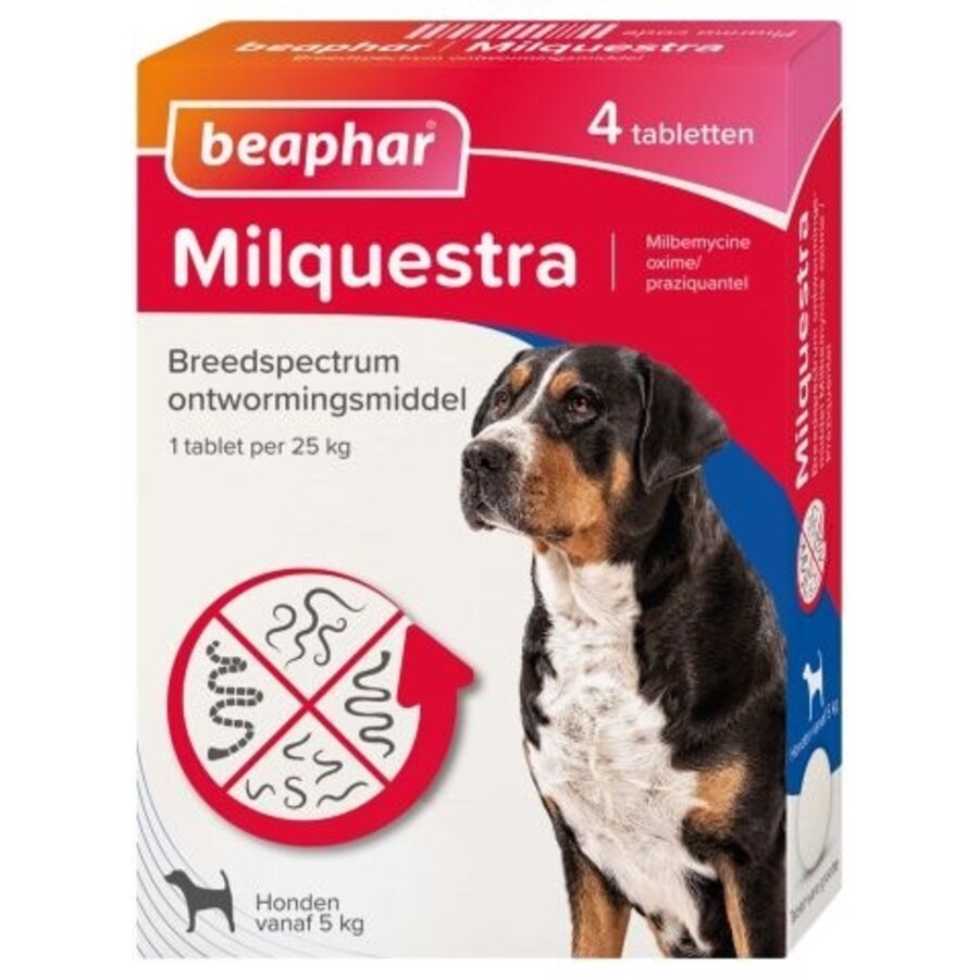 Milquestra wormtabletten hond 5+ Kg 4 tabletten-1