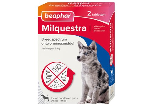 Milquestra chiot/petit chien 0,5-10kg (2 comprimés) 