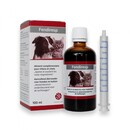 Fendiresp Cough Syrup 100ml – natural respiratory support for dogs and cats