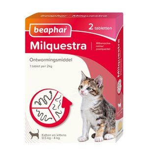 Milquestra kleine kat/kitten - 2 st