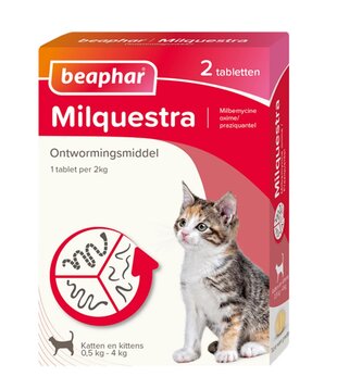 Milquestra kleine Katze/Kätzchen - 2  st