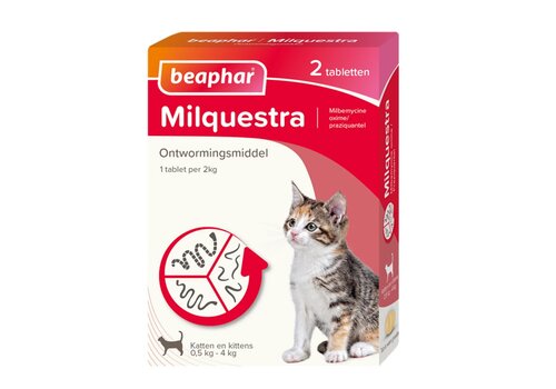 Milquestra kleine kat/kitten - 2 st 