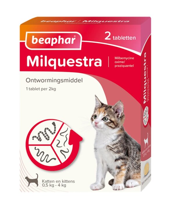 Milquestra Milquestra pequeña gato/gatito - 2 unidades