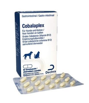 Protexin Cobalaplex Dog & Cat - 60pcs