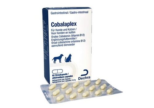 Protexin Cobalaplex Dog & Cat - 60pcs 
