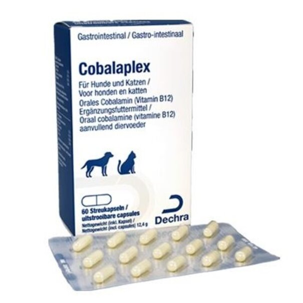 Protexin Protexin Cobalaplex – Supplément en Vitamine B12 et Folates pour Chiens et Chats – 60 Gélules