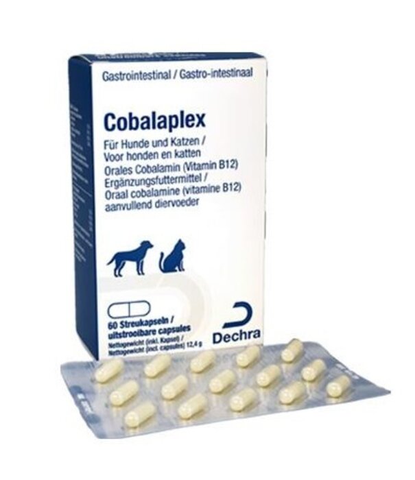 Protexin Protexin Cobalaplex – Vitamin B12 & Folate Supplement for Dogs and Cats – 60 Capsules